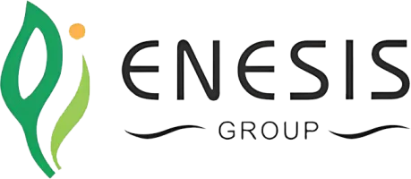 Enesis Group copy